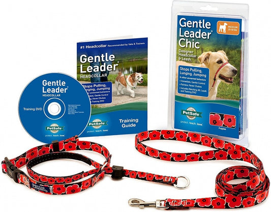 Petsafe Chic Gentle Leader Quick Release Poppies Headcollar and Leash for Dogs