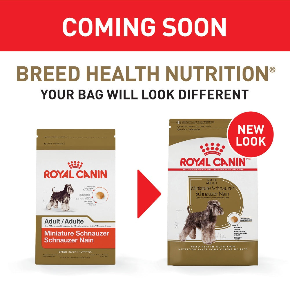 Royal Canin Breed Health Nutrition Miniature Schnauzer Adult Dry Dog Food