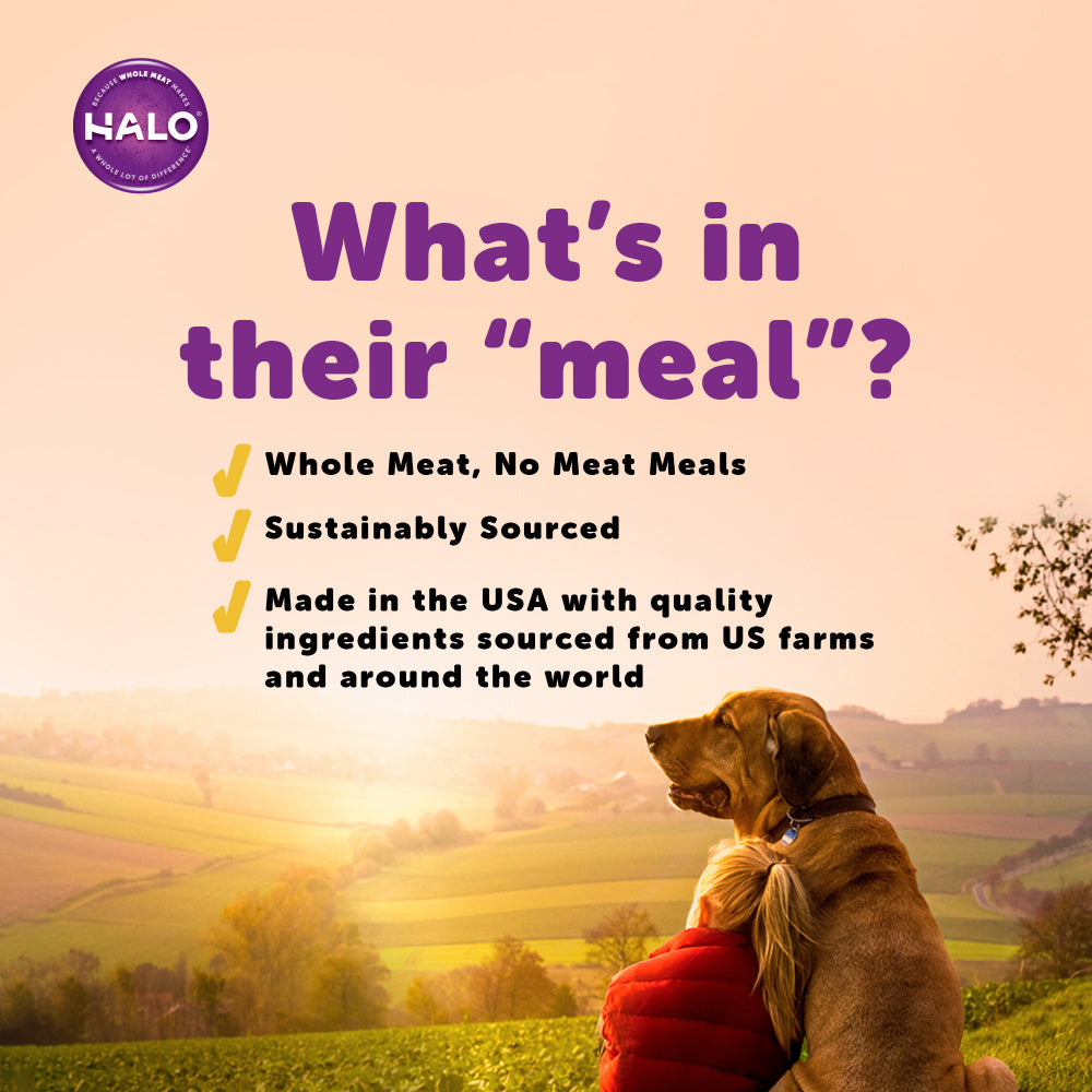 Halo Small Breed Grain Free Turkey & Duck Recipe Canned Dog Food