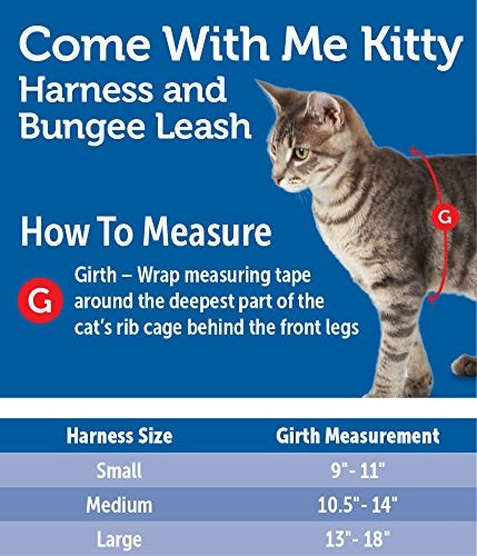 PetSafe Come with Me Kitty Royal Blue & Navy Harness and Bungee Leash for Cats