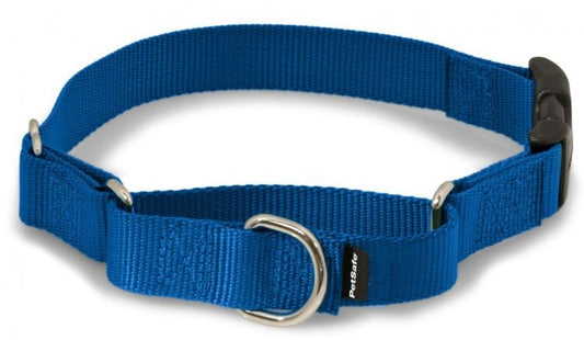 PetSafe Premier Martingale Royal Blue Quick Snap Pet Collar
