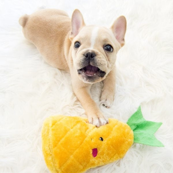 ZippyPaws NomNomz Plush Pineapple Dog Toy