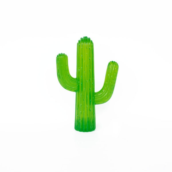 ZippyPaws Zippy Tuff Cactus Dog Toy