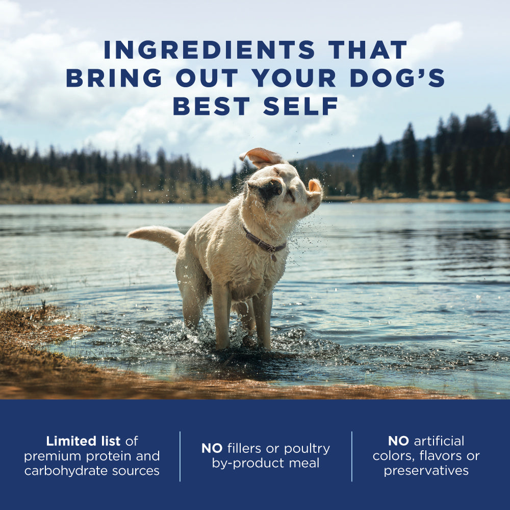 Natural Balance L.I.D. Limited Ingredient Diets Lamb & Brown Rice Formula Dry Dog Food