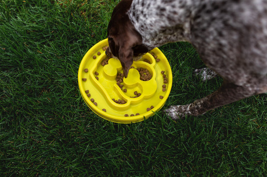 BeOneBreed Yellow Slow Feeder Dog Food Bowl