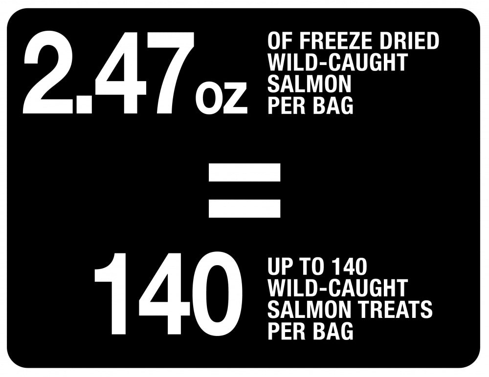 PureBites Salmon Freeze Dried Raw Dog Treats