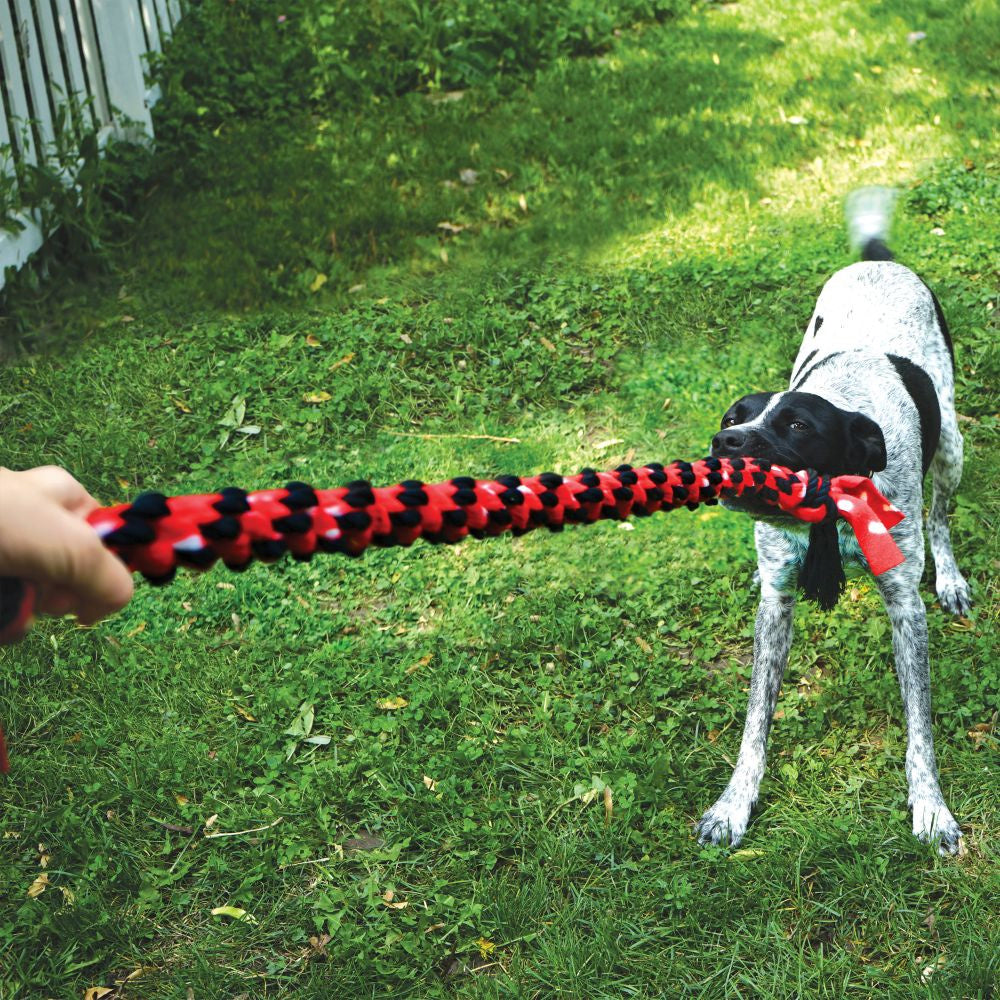 KONG Signature Rope Double Tug Dog Toy
