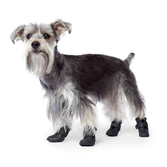 Canada Pooch Wellies Boots Black for Dogs