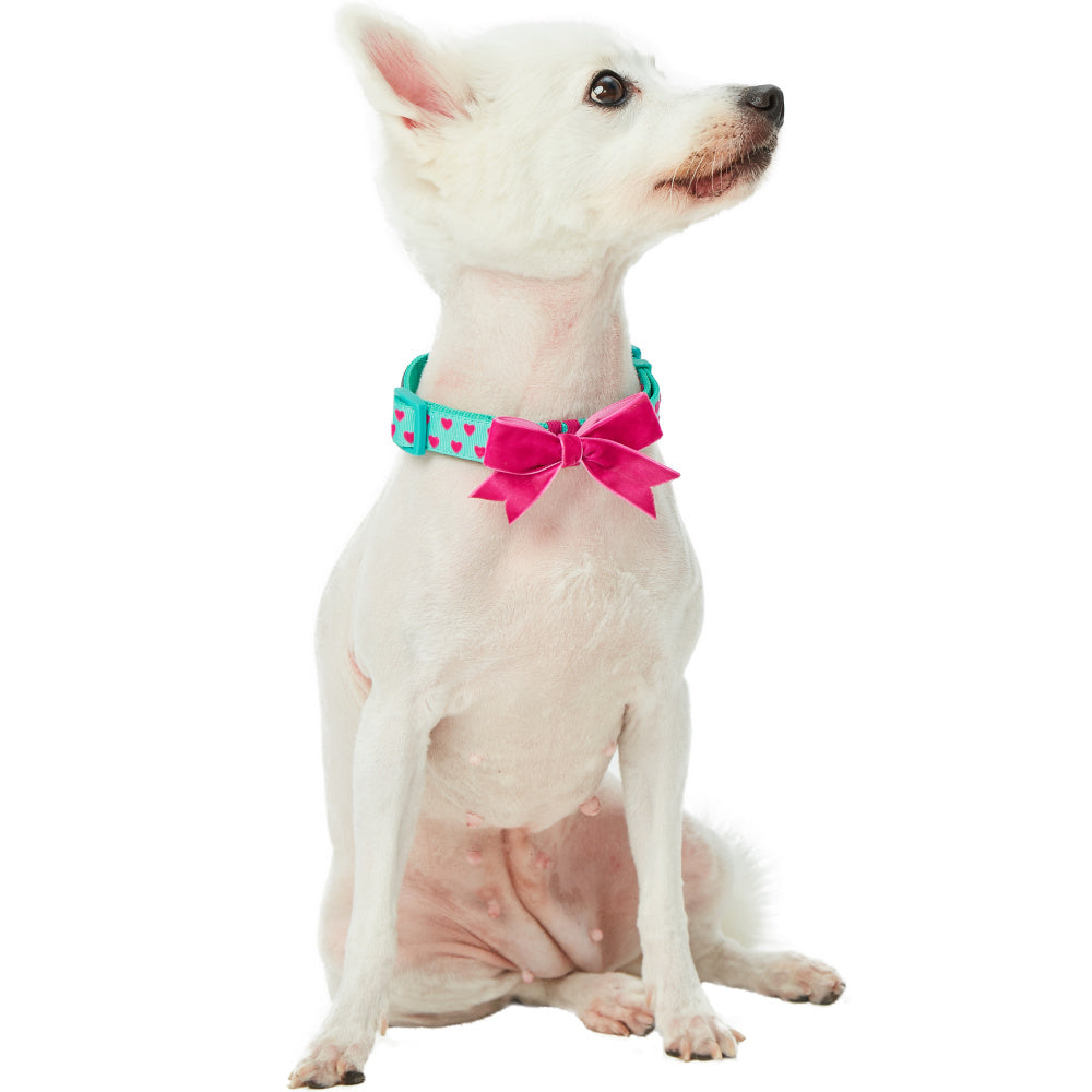 Blueberry Pet Heart Flocking Minty Green Dog Collar with Detachable Velvety Bowtie