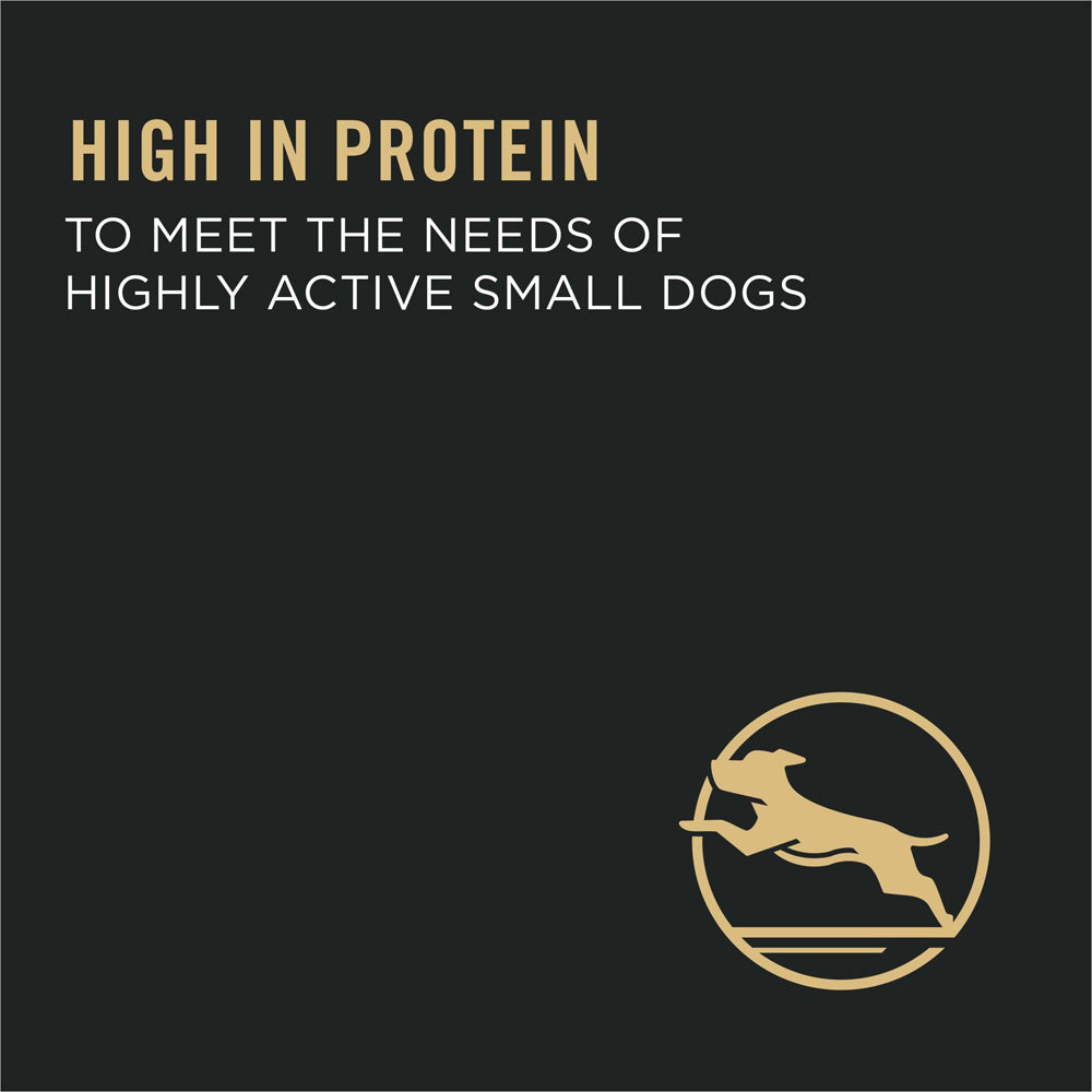 Purina Pro Plan High Protein Sensitive Skin & Stomach Small Breed Salmon & Rice Formula Dry Dog Food