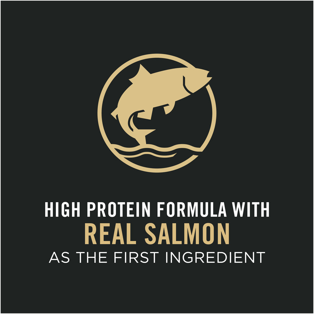 Purina Pro Plan Development Sensitive Skin & Stomach Salmon & Rice With Probiotics Large Breed Dry Puppy Food